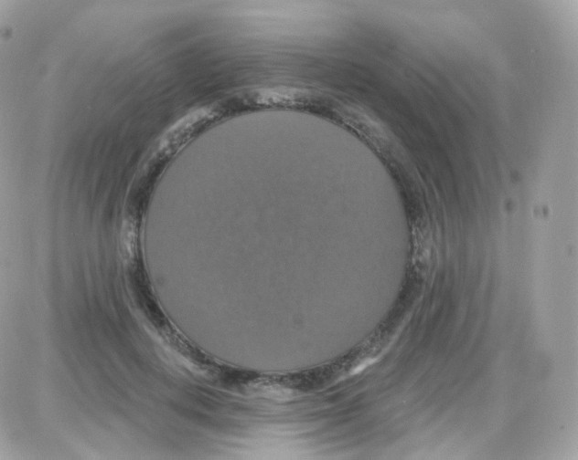 X0000087700648200706011746