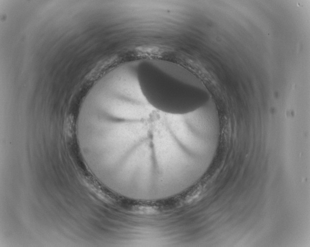 X0000087700649200706011746