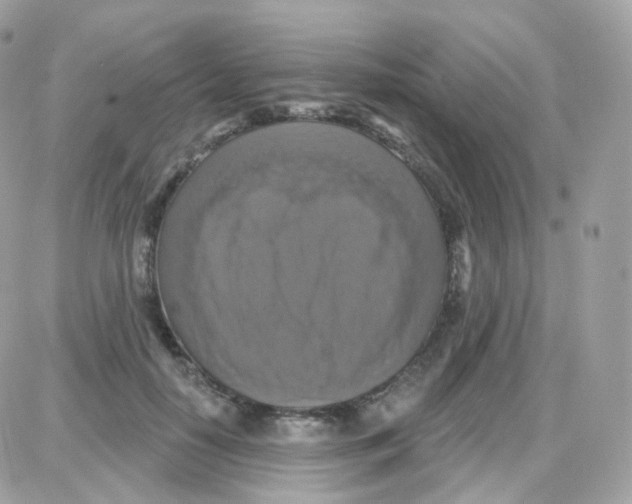 X0000087700650200706011746