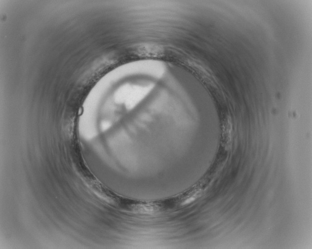 X0000087700652200706011746