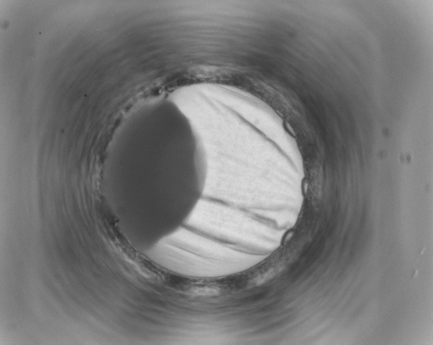 X0000087700653200706011746