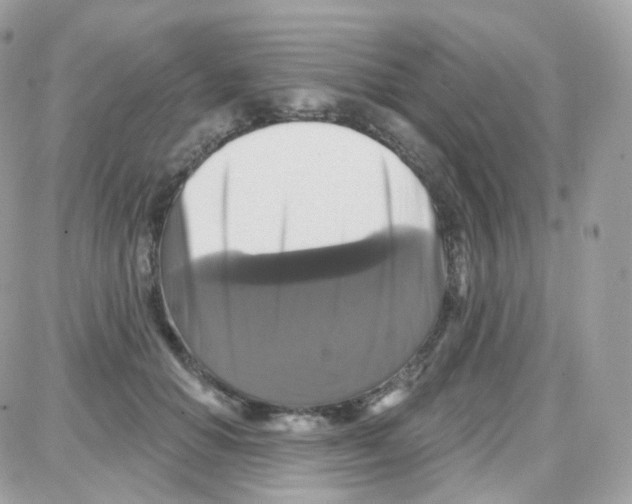 X0000087700654200706011746