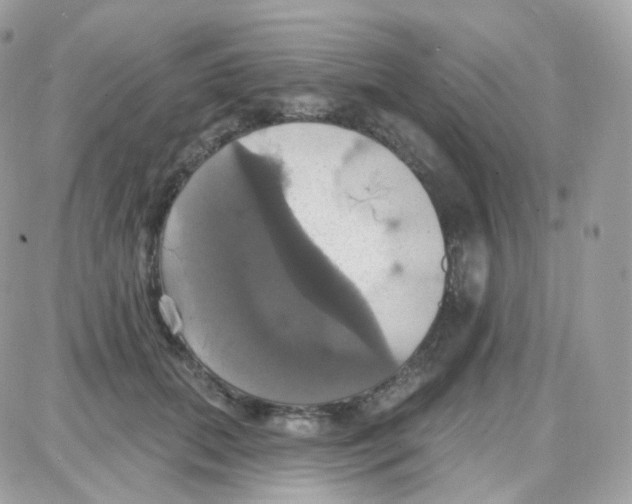 X0000087700655200706011746