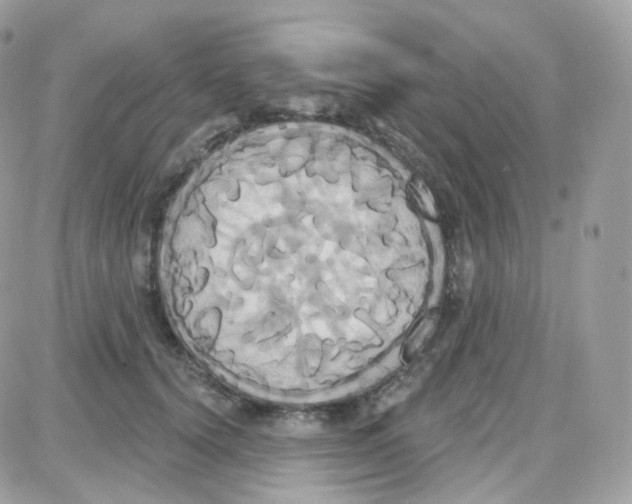 X0000087700656200706011746