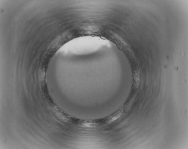 X0000087700657200706011746