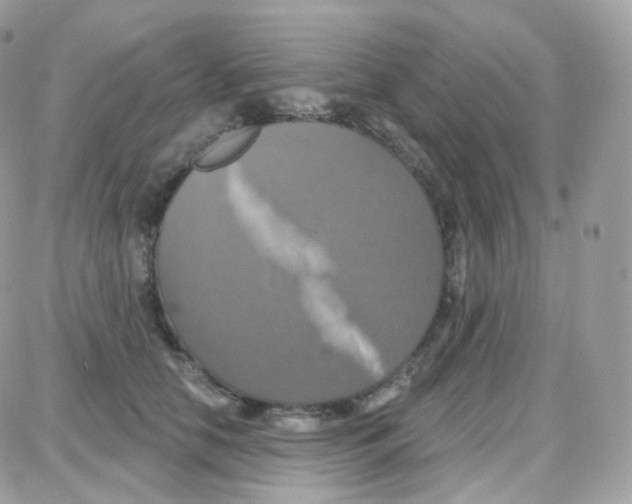 X0000087700658200706011746