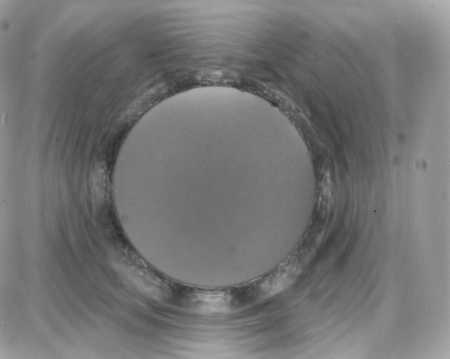 X0000087700659200706011746