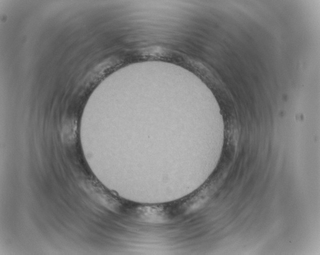 X0000087700660200706011746