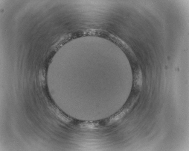 X0000087700661200706011746