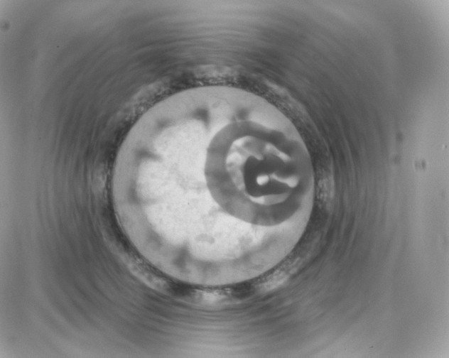 X0000087700662200706011746