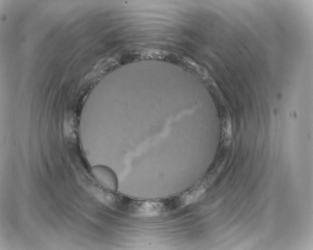 X0000087700663200706011746