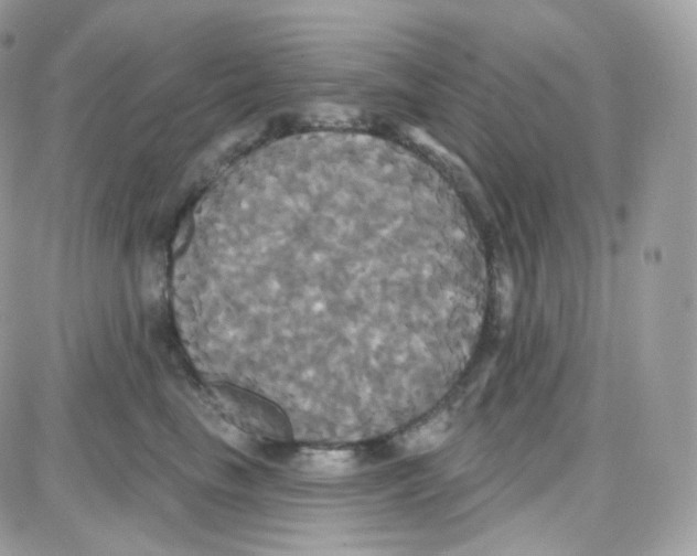 X0000087700665200706011746