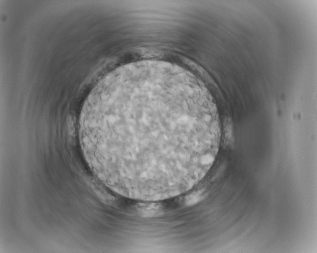 X0000087700667200706011746