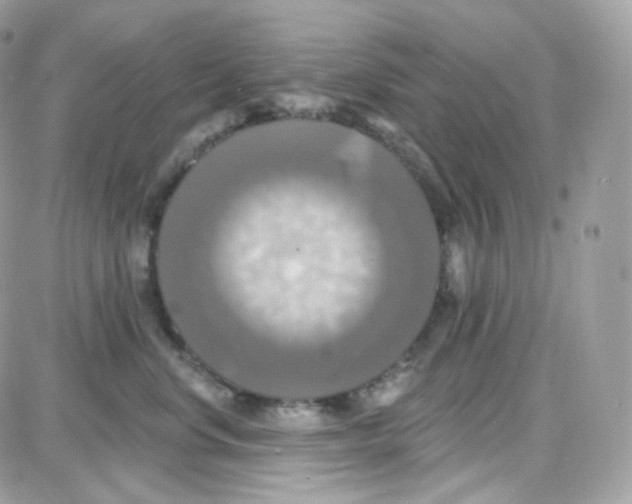 X0000087700668200706011746