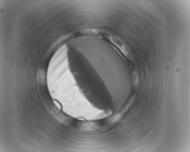 X0000087700669200706011746