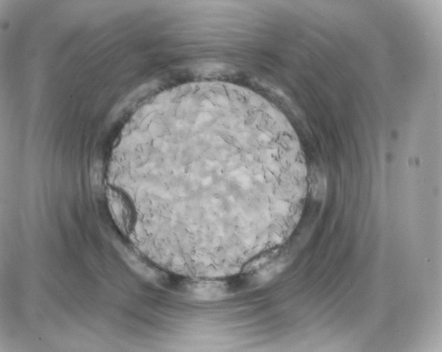 X0000087700670200706011746