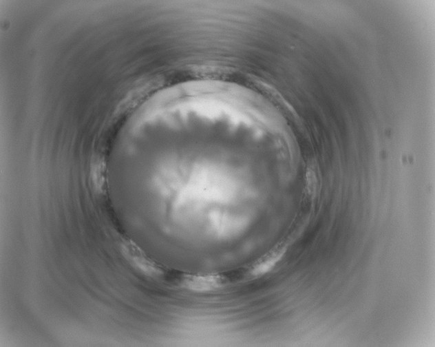 X0000087700671200706011746