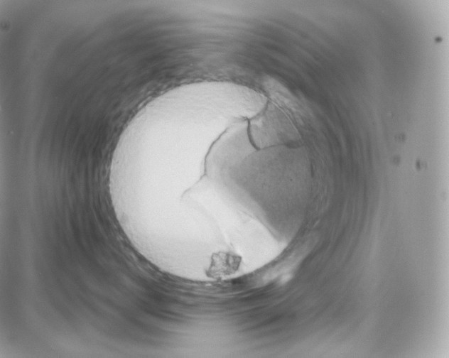 X0000087700672200706011746