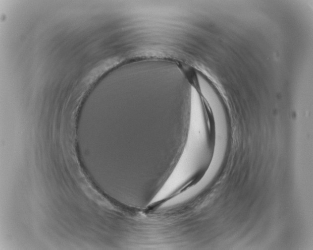 X0000087700673200706011745