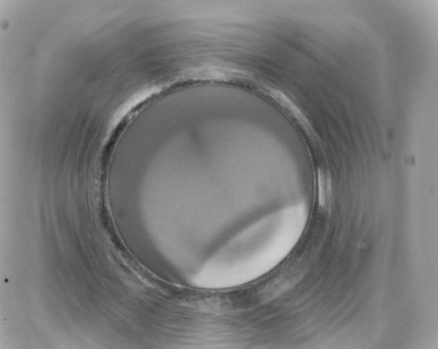 X0000087700675200706011745