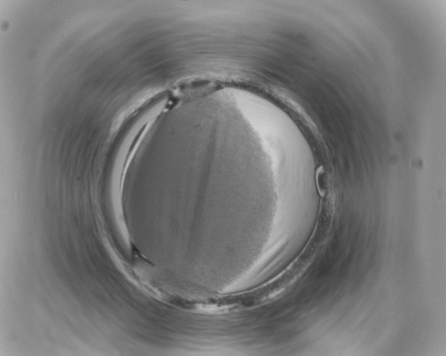 X0000087700677200706011745