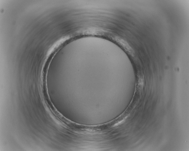 X0000087700678200706011745