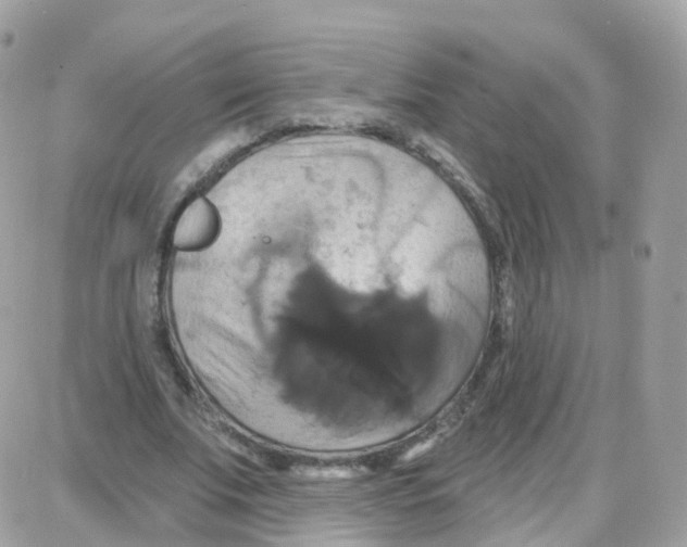 X0000087700679200706011745