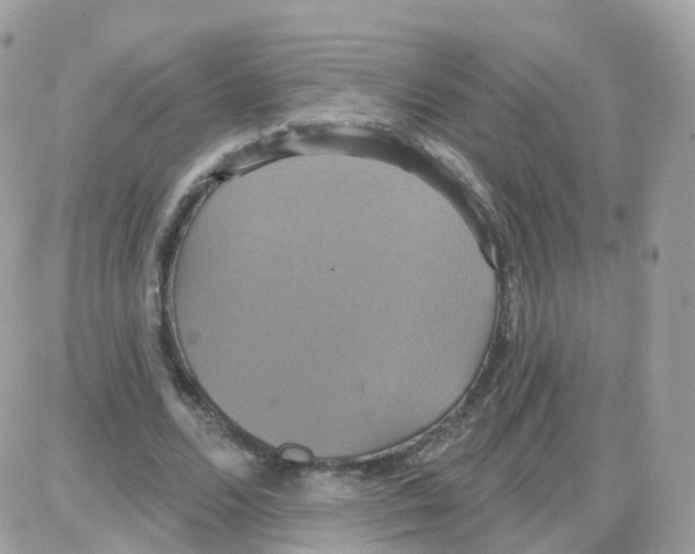 X0000087700680200706011745