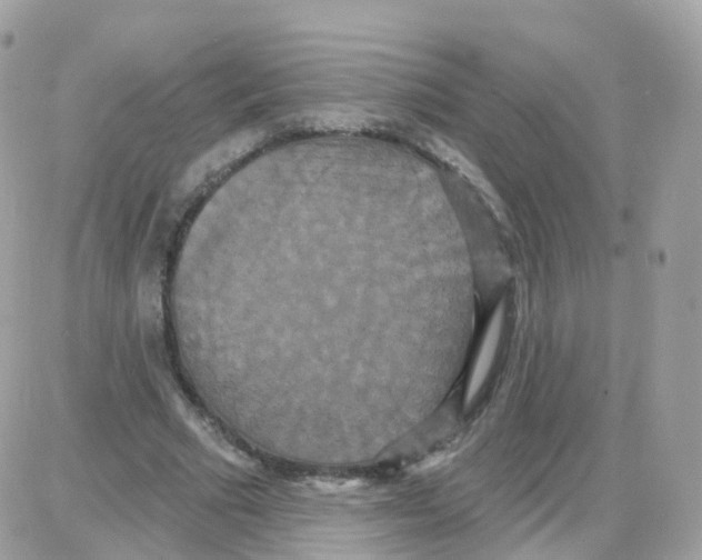 X0000087700681200706011745