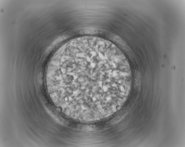 X0000087700683200706011745