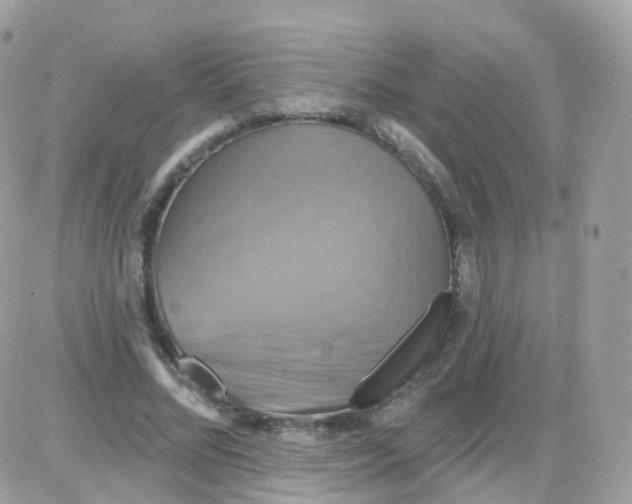 X0000087700684200706011745