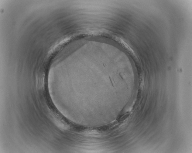 X0000087700685200706011745