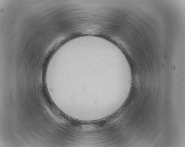 X0000087700686200706011745