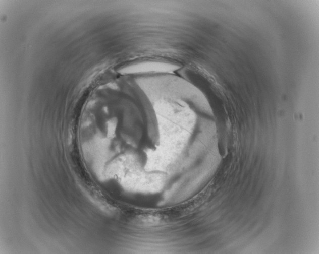 X0000087700687200706011745