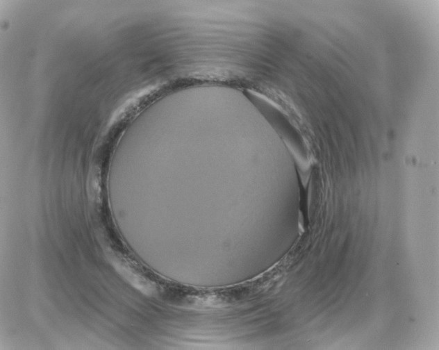 X0000087700688200706011745