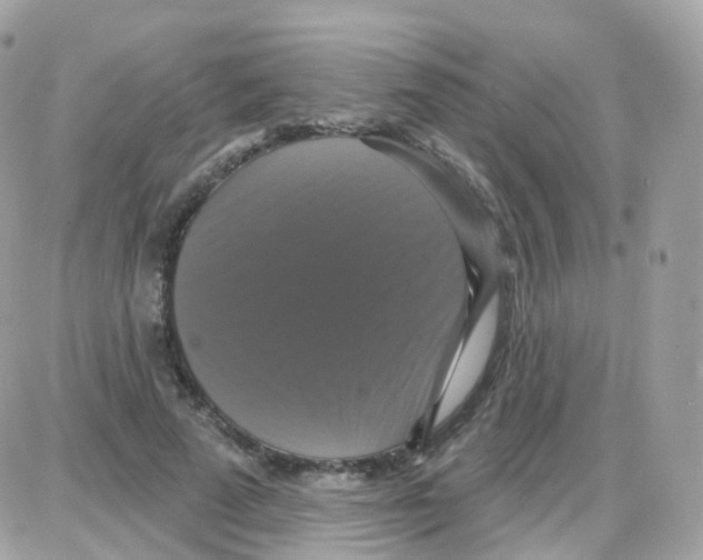 X0000087700689200706011745