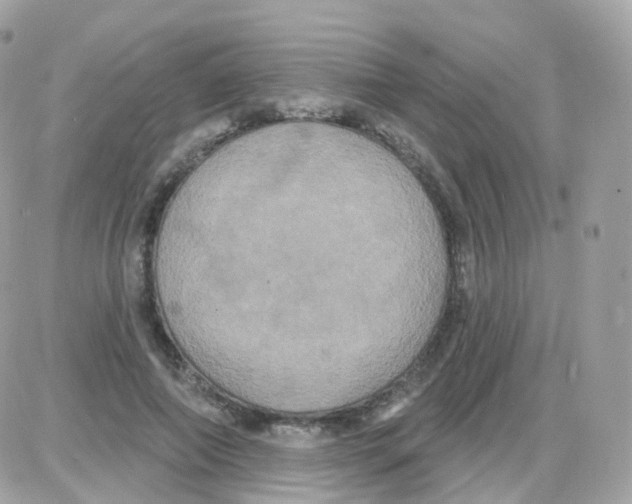 X0000087700690200706011745