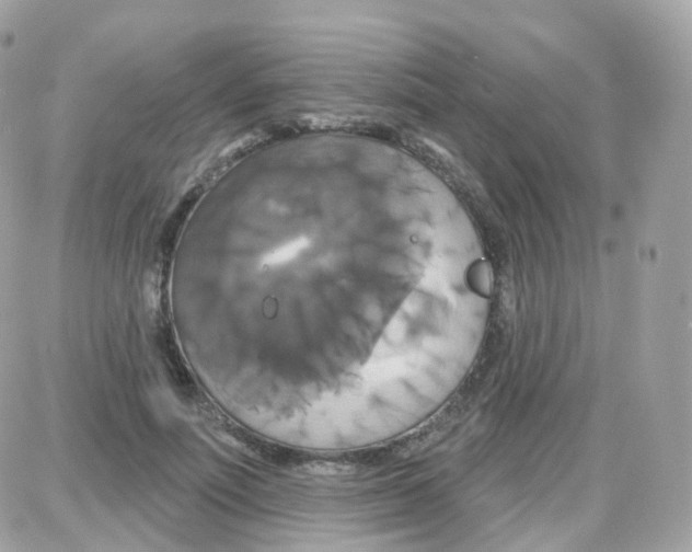 X0000087700691200706011745