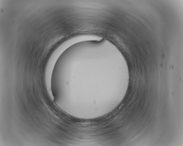 X0000087700692200706011745