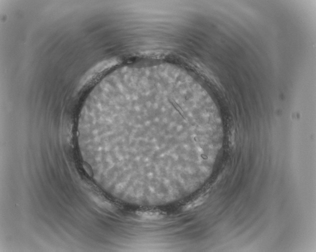 X0000087700693200706011745