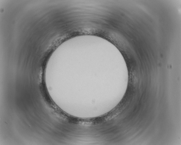 X0000087700694200706011745