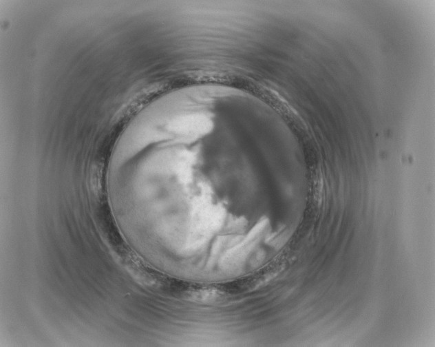 X0000087700695200706011745