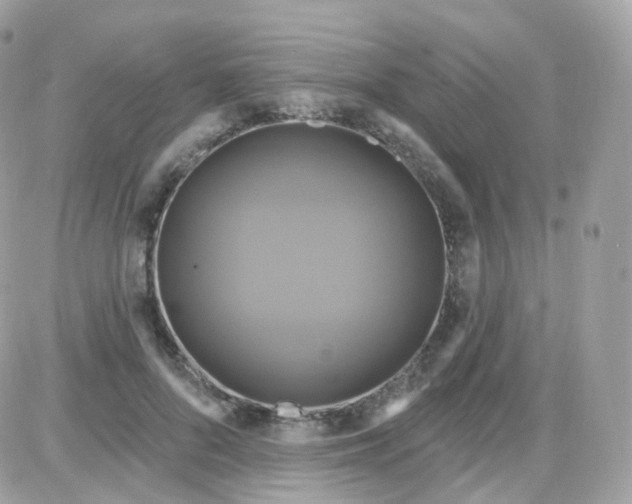 X0000087700696200706011745