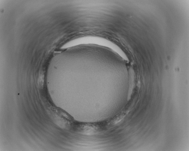 X0000087700697200706011745