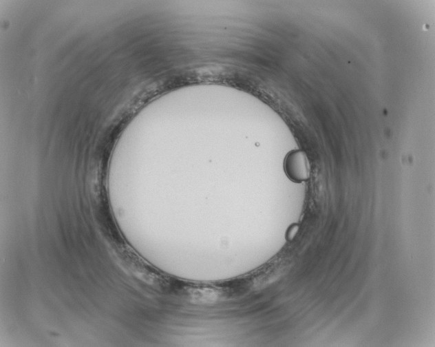 X0000087700698200706011745