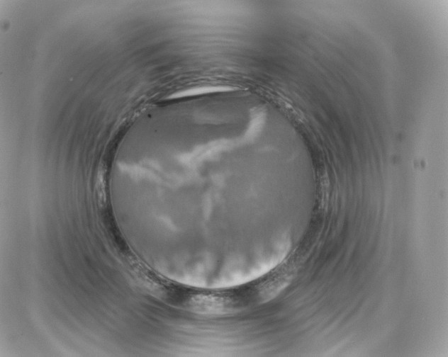 X0000087700699200706011745