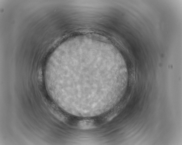 X0000087700700200706011745