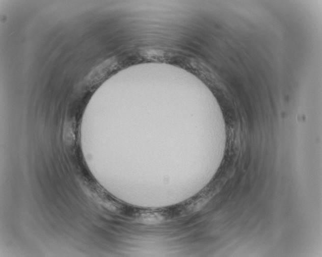 X0000087700702200706011745