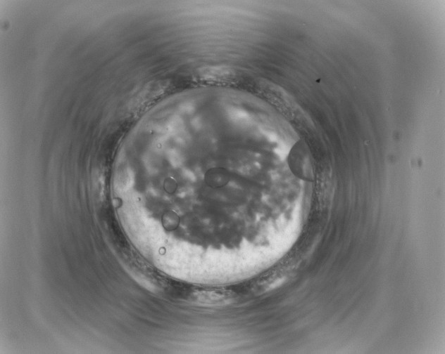 X0000087700703200706011745