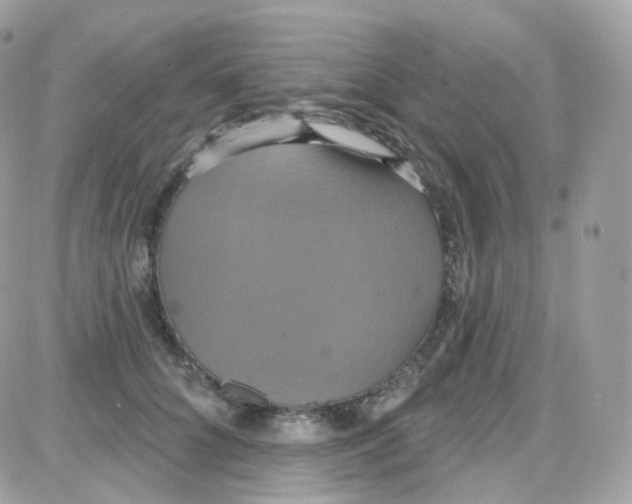 X0000087700704200706011745